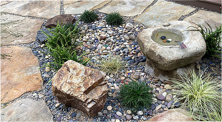 Rocks and Succulents