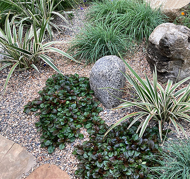 Japanese Garden