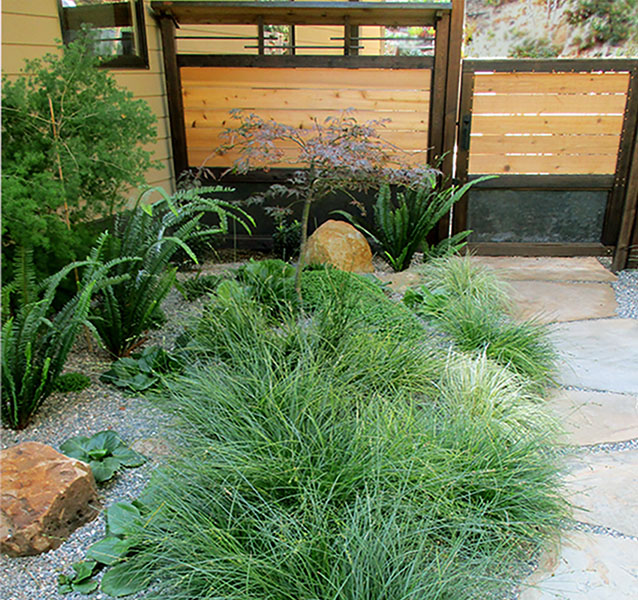 Japanese Garden