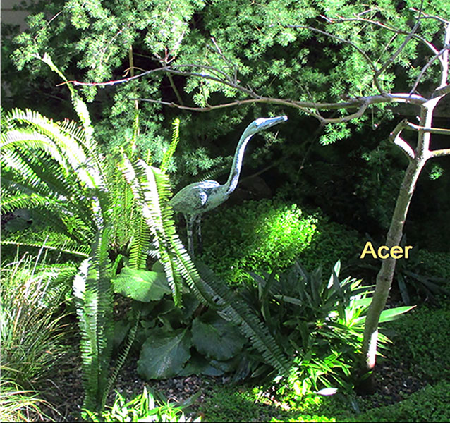 Japanese Garden