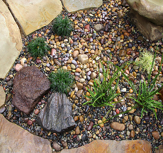 Japanese Garden